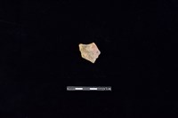 藏品(陶片)的圖片